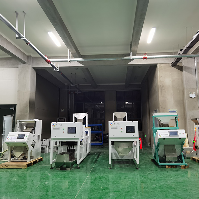 Belt Type Single Layer Color Sorter Machine with Best Quality